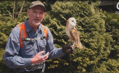 Ontario conservation videographer