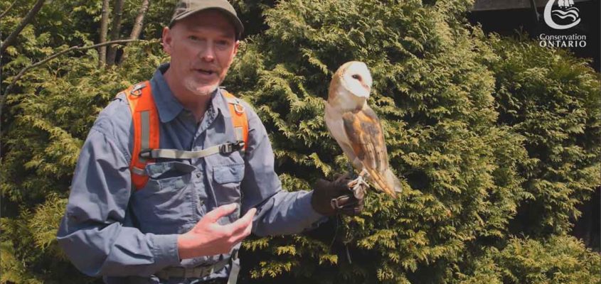 Ontario conservation videographer