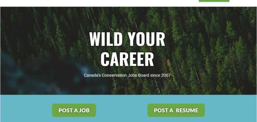 Best environmental job site in Canada