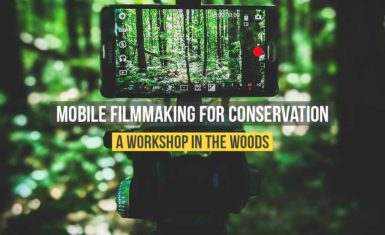 Smartphone video workshop for the environment in Canada