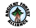 Ancient Forest Alliance