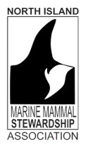 The North Island Marine Mammal Stewardship Association (NIMMSA)